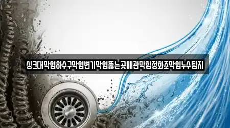 싱크대막힘하수구막힘변기막힘뚫는곳배관막힘정화조막힘누수탐지