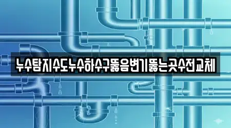 누수탐지수도누수하수구뚫음변기뚫는곳수전교체