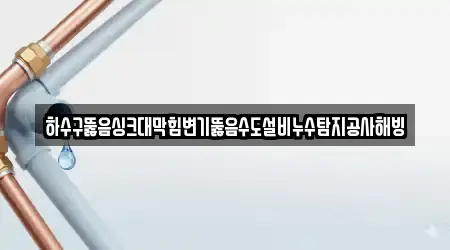 하수구뚫음싱크대막힘변기뚫음수도설비누수탐지공사해빙