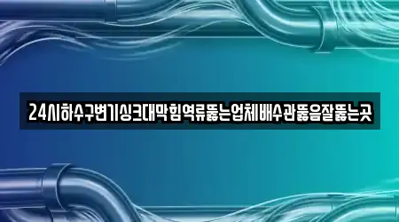 24시하수구변기싱크대막힘역류뚫는업체배수관뚫음잘뚫는곳
