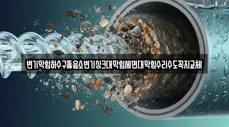19곳 평택 소사동 하수구뚫음,변기막힘,누수탐지,싱크대막힘,변기뚫음, 한눈에 보기