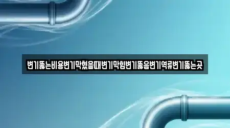 변기뚫는비용변기막혔을때변기막힘변기뚫음변기역류변기뚫는곳