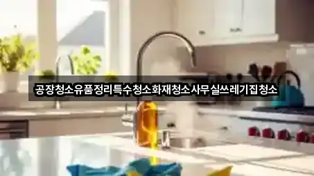 공장청소유품정리특수청소화재청소사무실쓰레기집청소