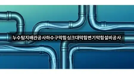 누수탐지배관공사하수구막힘싱크대막힘변기막힘설비공사