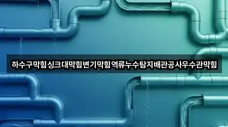하수구막힘싱크대막힘변기막힘역류누수탐지배관공사우수관막힘