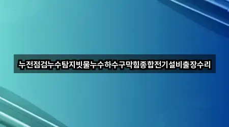 누전점검누수탐지빗물누수하수구막힘종합전기설비출장수리
