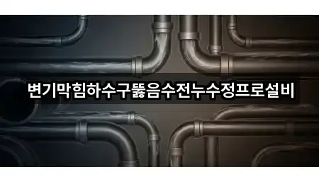 변기막힘하수구뚫음수전누수정프로설비