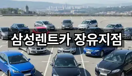 삼성렌트카 장유지점