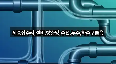 세종집수리,설비,방충망,수전,누수,하수구뚫음