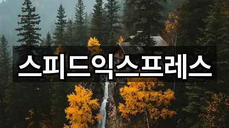 스피드익스프레스