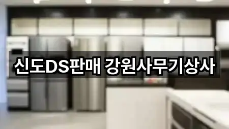 신도DS판매 강원사무기상사