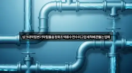 싱크대막힘변기막힘뚫음정화조역류수전수리고압세척배관뚫는업체