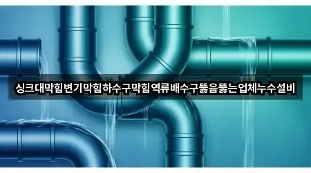 싱크대막힘변기막힘하수구막힘역류배수구뚫음뚫는업체누수설비