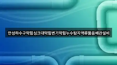 안성하수구막힘싱크대막힘변기막힘누수탐지역류뚫음배관설비