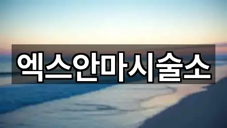 엑스안마시술소