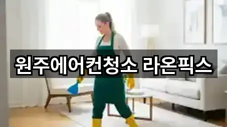 원주에어컨청소 라온픽스