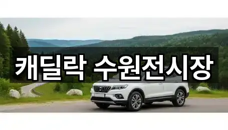 캐딜락 수원전시장
