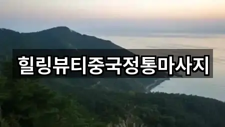 힐링뷰티중국정통마사지