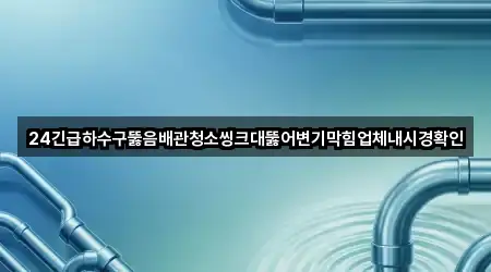 24긴급하수구뚫음배관청소씽크대뚫어변기막힘업체내시경확인
