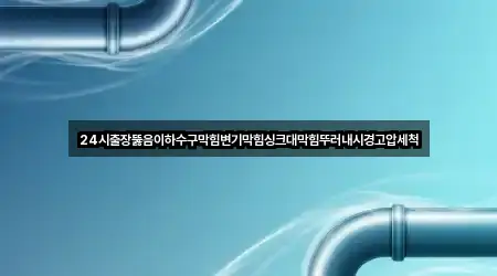 24시출장뚫음이하수구막힘변기막힘싱크대막힘뚜러내시경고압세척