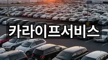 카라이프서비스