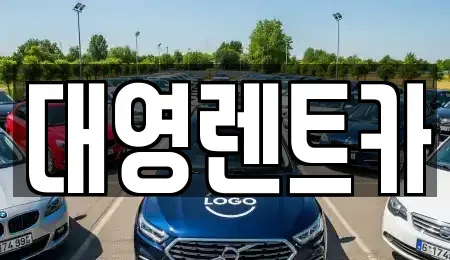 경기 고양시 덕양구 도내동 렌트카 전문 대영렌트카