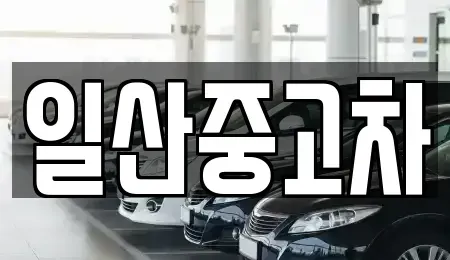 경기 고양시 덕양구 도내동 중고차 전문 일산중고차