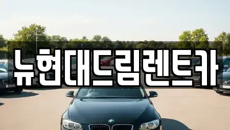 경기 부천시 오정구 렌트카 전문 뉴현대드림렌트카