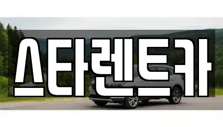 경기 부천시 오정구 렌트카 전문 스타렌트카