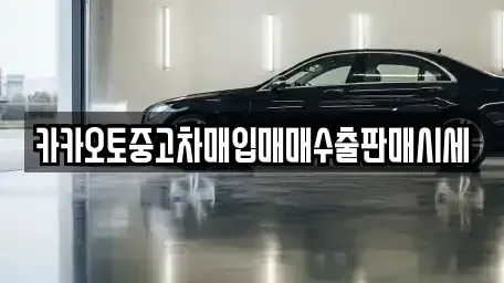 경기 부천시 오정구 중고차매입 전문 카카오토중고차매입매매수출판매시세