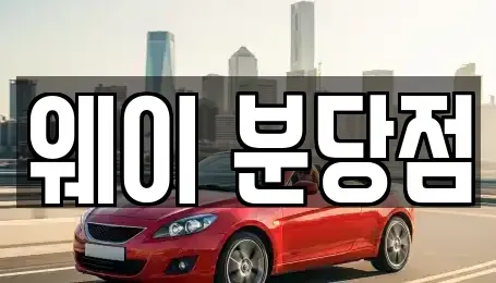 경기 성남시 분당구 분당동 단기렌트카 전문 웨이 분당점