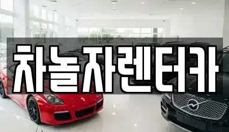 경기 성남시 분당구 분당동 렌트카 전문 차놀자렌터카