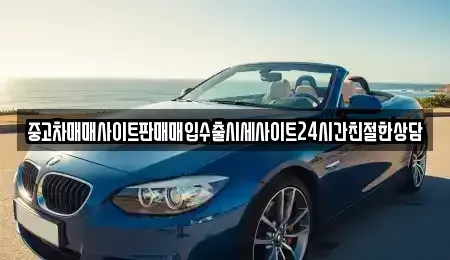 경기 성남시 분당구 분당동 중고차 전문 중고차매매사이트판매매입수출시세사이트24시간친절한상담