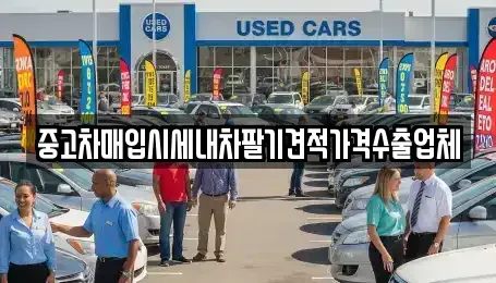 경기 성남시 분당구 분당동 중고차매입 전문 중고차매입시세내차팔기견적가격수출업체