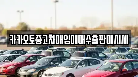 경기 성남시 분당구 분당동 중고차매입 전문 카카오토중고차매입매매수출판매시세