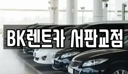 경기 성남시 분당구 석운동 렌트카,단기렌트카,장기렌트카,중고차,중고차매매,중고차매입