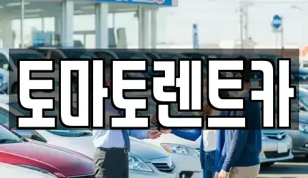 경기 성남시 분당구 석운동 렌트카 전문 토마토렌트카