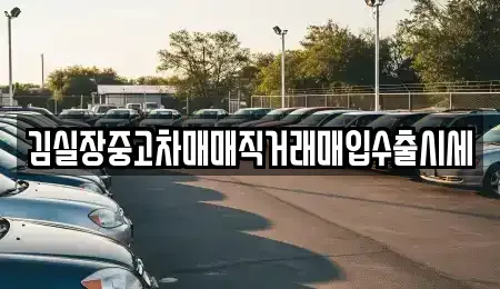 경기 성남시 분당구 석운동 중고차 전문 김실장중고차매매직거래매입수출시세