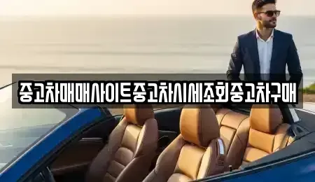 경기 시흥시 미산동 중고차매매 전문 중고차매매사이트중고차시세조회중고차구매