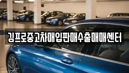 경기 시흥시 미산동 중고차매입 전문 김프로중고차매입판매수출매매센터