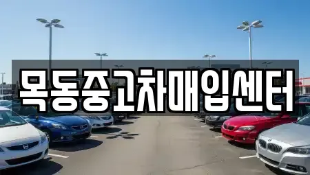 경기 시흥시 미산동 중고차매입 전문 목동중고차매입센터