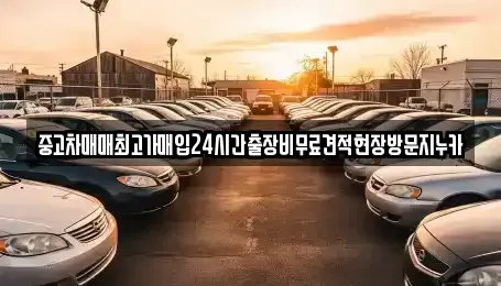 경기 시흥시 미산동 중고차매입 전문 중고차매매최고가매입24시간출장비무료견적현장방문지누카