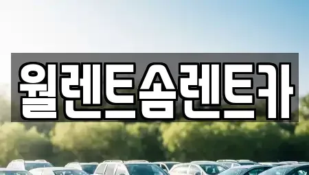 경기 안성시 금석동 렌트카 전문 월렌트솜렌트카
