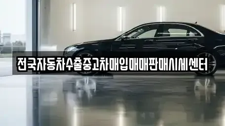 경기 안성시 금석동 단기렌트카,중고차매입,중고차매매,중고차,렌트카,장기렌트카