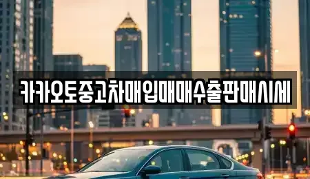 경기 안성시 금석동 중고차매입 전문 카카오토중고차매입매매수출판매시세
