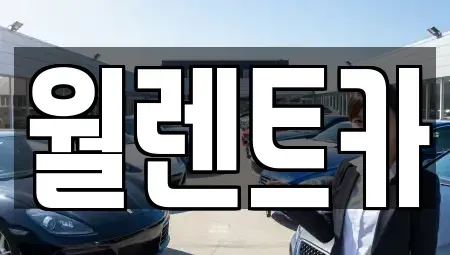 경기 안성시 옥산동 렌트카 전문 월렌트카