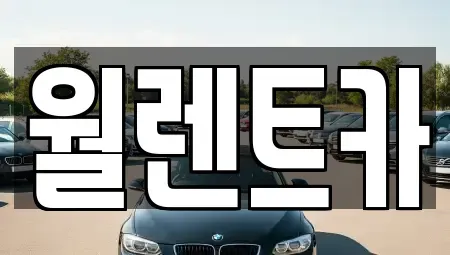 경기 오산시 궐동 렌트카 전문 월렌트카