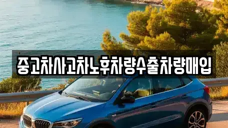 경기 오산시 궐동 중고차매매 전문 중고차사고차노후차량수출차량매입