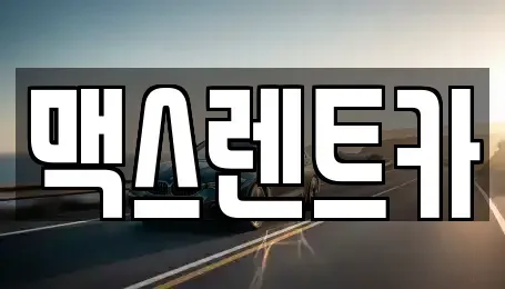 경기 용인시 기흥구 지곡동 렌트카 전문 맥스렌트카