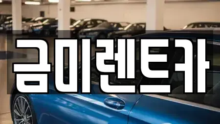 경기도 광명시 광명동 렌트카 전문 금미렌트카